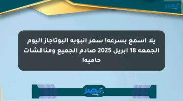 يلا اسمع بسرعة! سعر أنبوبة البوتاجاز اليوم الجمعة 18 أبريل 2025 صادم الجميع ومناقشات حامية!